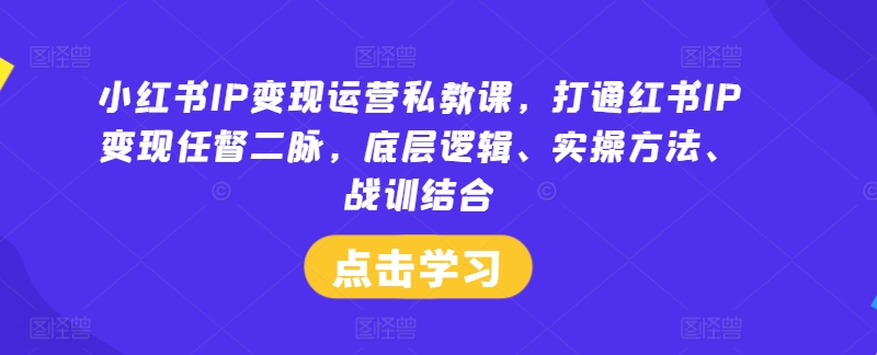 小红书IP变现运营私教课，打通红书IP变现任督二脉，底层逻辑、实操方法、战训结合-云网创资源站