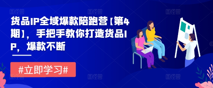 货品IP全域爆款陪跑营【第4期】，手把手教你打造货品IP，爆款不断-云网创资源站