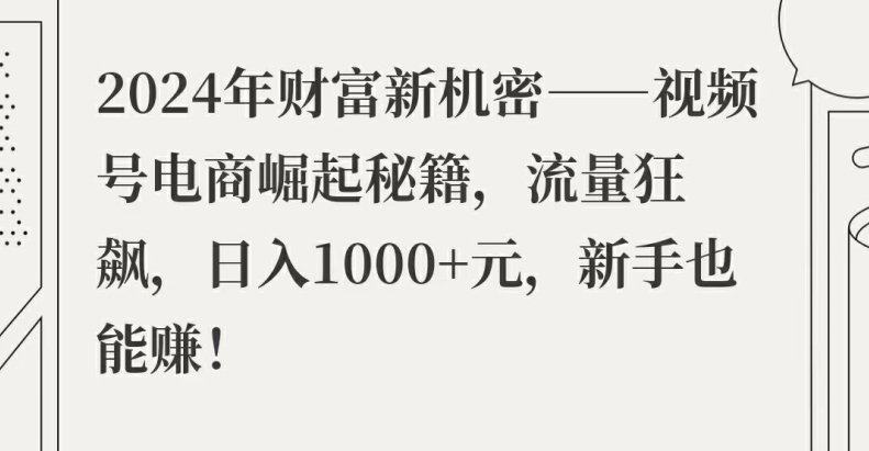 2024年财富新机密——视频号电商崛起秘籍，流量狂飙，日入1k元，新手也能赚-云网创资源站