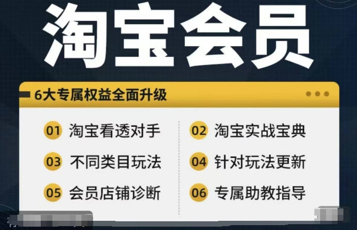 淘宝会员【淘宝网全部课程，深入分析敌人】，初中级到大神全系列实战演练秘笈-云网创资源站