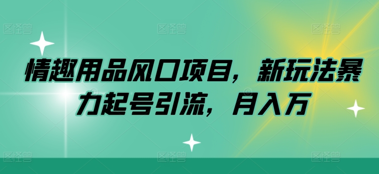 情趣用具蓝海项目，新模式暴力行为养号引流方法，月入万-云网创资源站