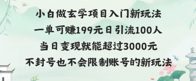 玄学项目入小白入门新玩法一单可赚199元日变现200+不封号不违规-云网创资源站