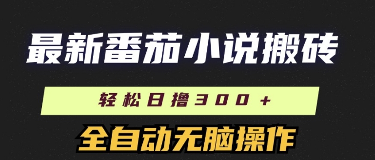 全新番茄小说打金，日撸300 ，自动式实际操作，可引流矩阵变大-云网创资源站