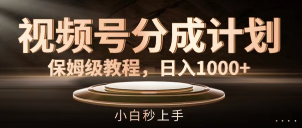 微信视频号分为方案家庭保姆级实例教程，日入1K，新手秒入门【揭密】-云网创资源站