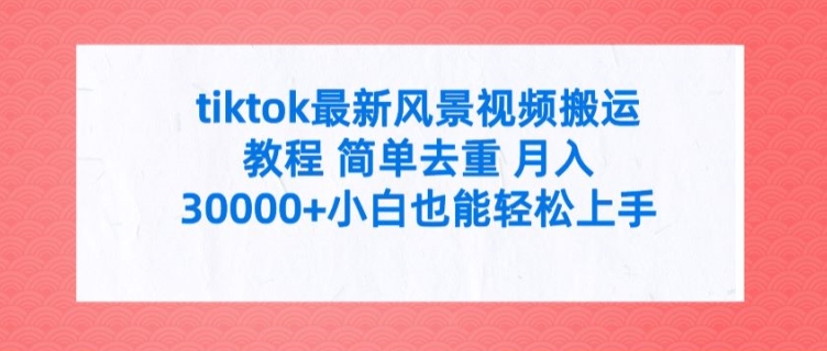 tiktok全新景色视频搬运实例教程 简易去重复 月入3W 新手也可以快速上手【揭密】-云网创资源站