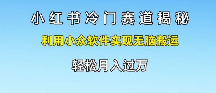 小红书的小众跑道揭密，运用小众软件完成没脑子运送，轻轻松松月入了万-云网创资源站