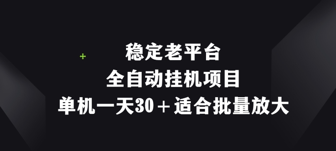 平稳老平台，全自动挂机新项目，单机版一天30 适宜大批量变大-云网创资源站