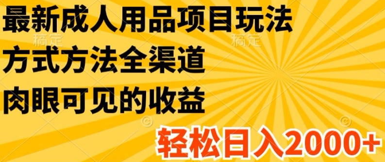 全新两性用品新项目游戏玩法，具体方法新零售，轻轻松松日入2K 【揭密】-云网创资源站