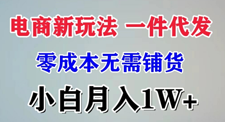 电子商务新模式 一件代发,零成本不用进货，新手月入1W-云网创资源站