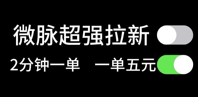 微脉没脑子引流，每一单5元钱，轻轻松松日入三位数-云网创资源站