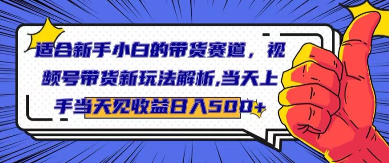 适合新手小白的带货赛道，视频号带货新玩法解析，当天上手当天见收益，日入500+-云网创资源站