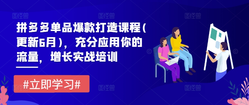 拼多多平台品类爆款打造课程内容(升级6月)，充分应用你的流量，提高实战培训-云网创资源站