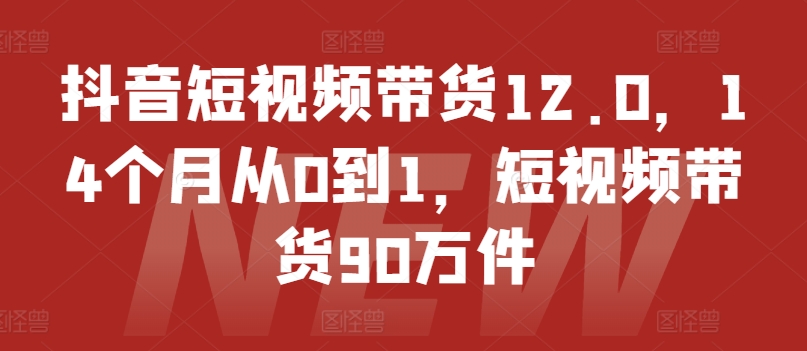 抖音小视频卖货12.0，14个月从0到1，短视频卖货90千件-云网创资源站