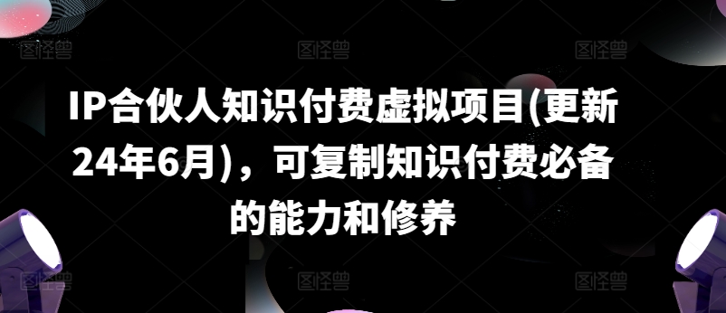 IP合作伙伴社交电商虚拟资源项目(升级24年6月)，复制推广社交电商必不可少能力与涵养-云网创资源站