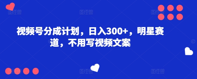 微信视频号分为方案，日入300 ，冠军赛道，不用写文案-云网创资源站