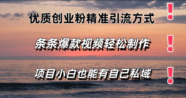 高品质自主创业粉精准引流方法方法，一条条短视频爆品，新手都可以轻松拥有自己公域-云网创资源站