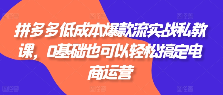 拼多多平台降低成本爆品流实战演练私教，0基本还可以轻松解决网店运营-云网创资源站