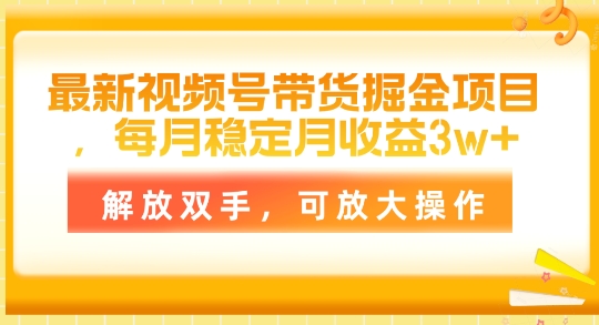 全新视频号带货掘金队新项目，每月平稳月盈利1w ，解锁新技能，可变大实际操作-云网创资源站