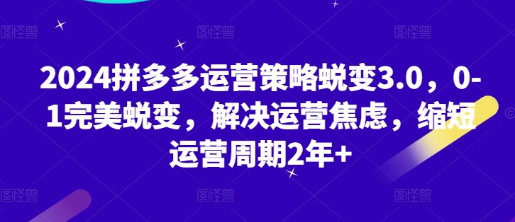 2024拼多多运营对策成长3.0，0-1华丽蜕变，处理经营焦虑情绪，减少运营周期2年-云网创资源站