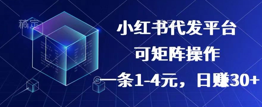 【小红书的 抖音视频】代发平台，一条1~4元，日赚30 的可靠小程序，可引流矩阵实际操作-云网创资源站