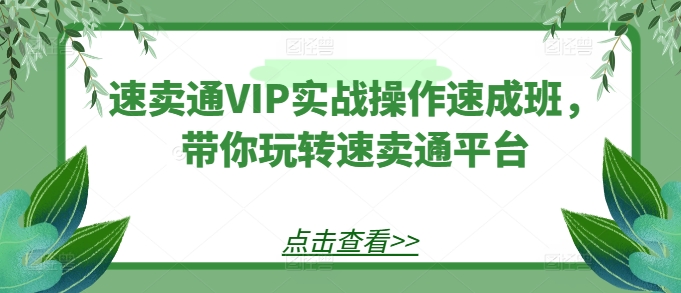 全球速卖通VIP实战操作短期培训班，带你玩转速卖通平台-云网创资源站