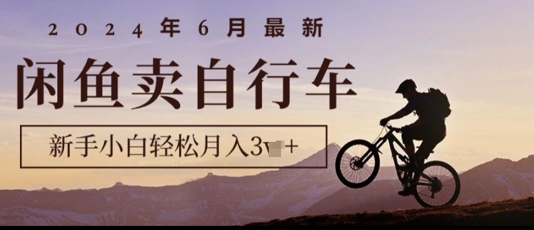 2024年6月全新淘宝闲鱼单车，新手入门轻轻松松月收入1w ，零风险新项目-云网创资源站