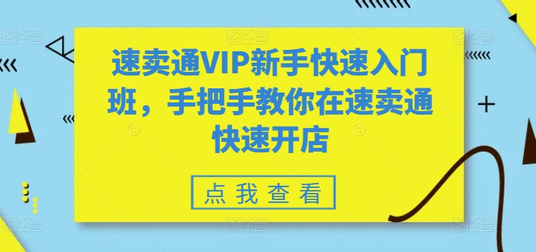 全球速卖通VIP初学者快速上手班，教你如何在全球速卖通迅速开实体店-云网创资源站