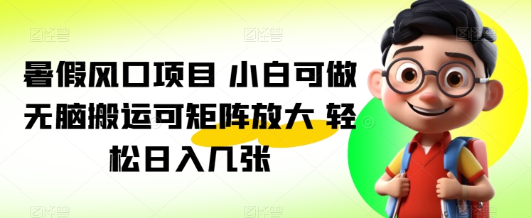 暑期蓝海项目 小白可做 没脑子运送可引流矩阵变大 轻轻松松日入多张-云网创资源站