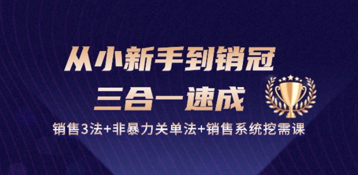 从小新手到销冠 三合一速成：销售3法+非暴力关单法+销售系统挖需课 (27节)-云网创资源站