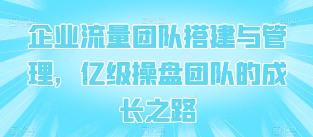 公司总流量团队搭建及管理，数亿级股票操盘团队成长历程-云网创资源站