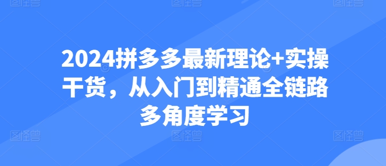 2024拼多多最新理论+实操干货，从入门到精通全链路多角度学习-云网创资源站