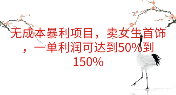 无成本暴利项目，卖女生首饰，一单利润可达到50%到150%-云网创资源站