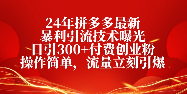 24年拼多多最新爆利引流技术曝出，日引300 付钱自主创业粉，使用方便，总流量马上点爆-云网创资源站