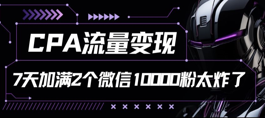 CPA数据流量变现7天满油两个微信号10000粉-云网创资源站