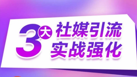 3大社交媒体引流方法实战演练加强，多种渠道站外引流，高效率营销获客，订单信息销售总额翻倍增长-云网创资源站