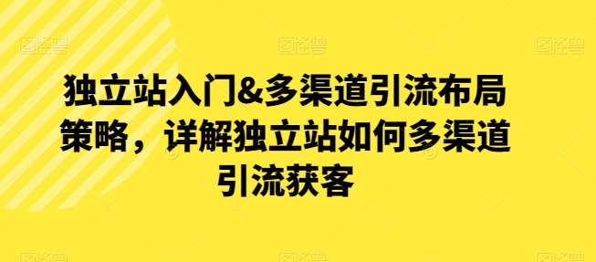 自建站新手入门&多种渠道引流方法合理布局对策，详细说明自建站怎样多种渠道引流方法拓客-云网创资源站