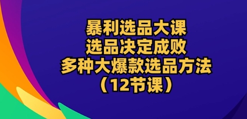 爆利选款大课：选款决定成败，教大家多种多样大爆品选款方式(12堂课)-云网创资源站