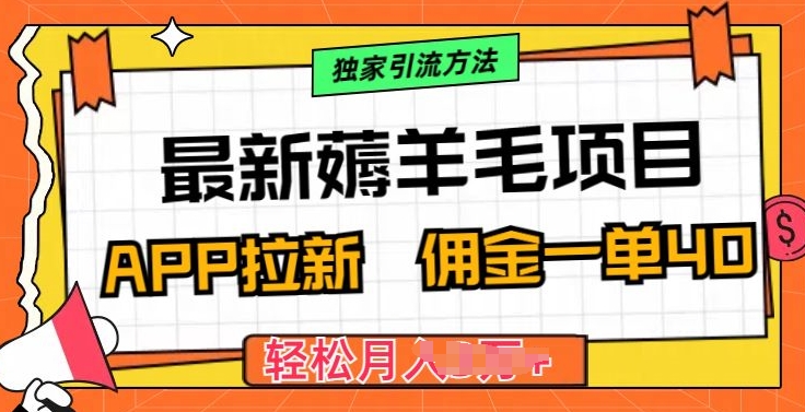 最新薅羊毛项目，利用购物APP拉新，佣金一单40.配合独家引流方法-云网创资源站