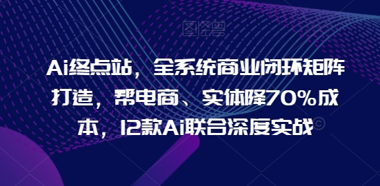 Ai终点站，全系统商业闭环矩阵打造，帮电商、实体降70%成本，12款Ai联合深度实战-云网创资源站