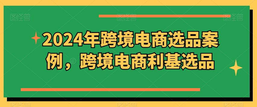 2024年跨境电商选品实例，跨境电子商务冷门选款-云网创资源站