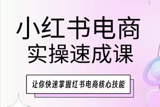 小红书电商实际操作速成课，让你快速把握小红书电子商务核心技能-云网创资源站