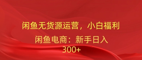 闲鱼平台无货源电商经营，新手褔利，日入300加-云网创资源站