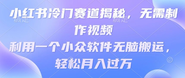 小红书的小众跑道揭密，不用制作小视频，利用一个小众软件没脑子运送，轻轻松松月入了万-云网创资源站