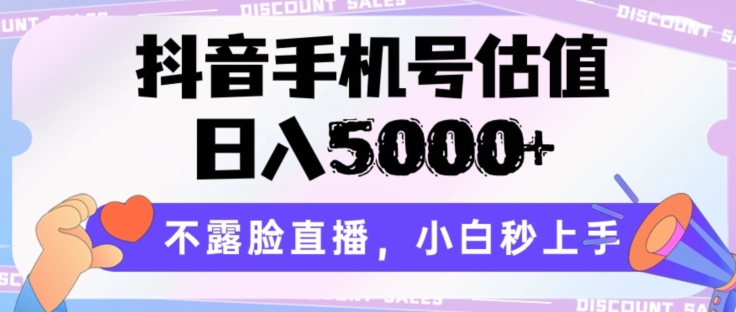 抖音手机号公司估值，日入5000 ，不露脸直播，新手秒入门【揭密】-云网创资源站