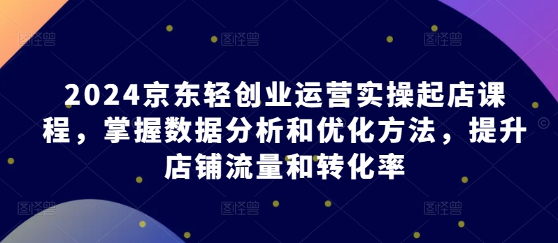 2024京东轻创业运营实操起店课程，掌握数据分析和优化方法，提升店铺流量和转化率-云网创资源站