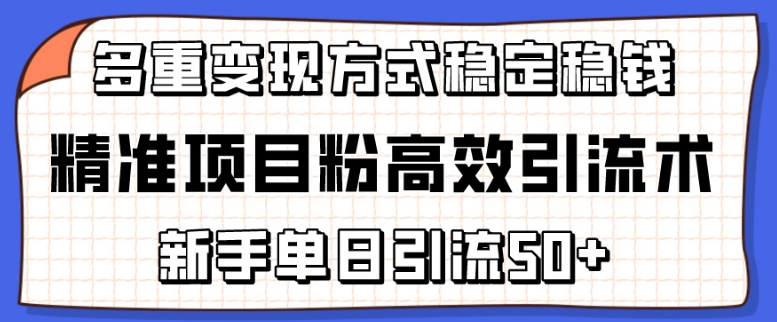 精确新项目粉高效率引流术，初学者单日引流方法50 ，多种变现模式稳定赚钱【揭密】-云网创资源站