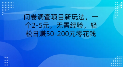 问卷调研新项目新模式，一个2-5元，无需经验，轻轻松松日赚50-200元零花钱-云网创资源站