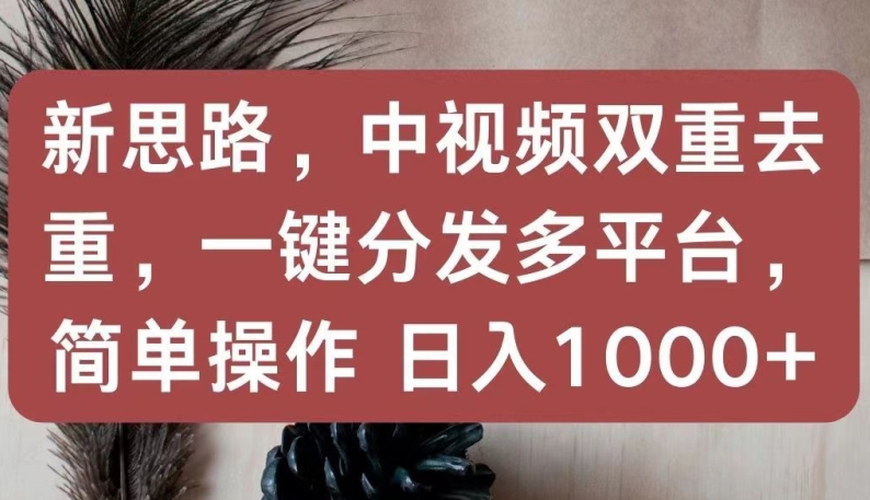 新思路，中视频双重去重，一键分发多平台，简单操作，日入1000+【揭秘】-云网创资源站