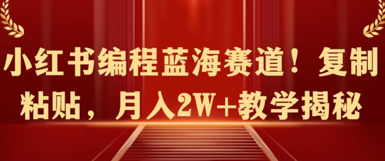 小红书编程蓝海赛道!复制粘贴，月入2W+教学揭秘-云网创资源站