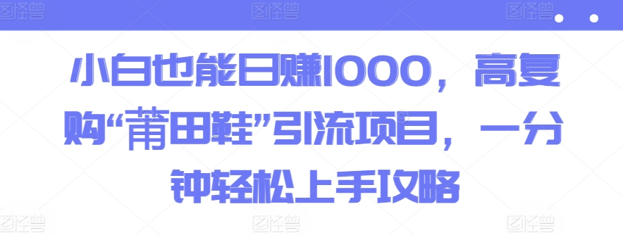 小白也能日赚1000，高复购“莆田鞋”引流项目，一分钟轻松上手攻略-云网创资源站